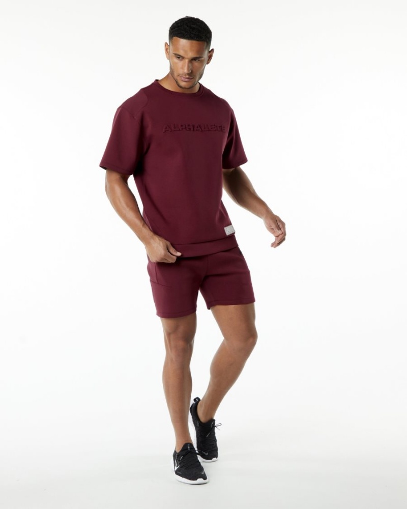 Men's Alphalete ELMTS Athletic Short 6" Shorts Burgundy | 5316-AMGBC