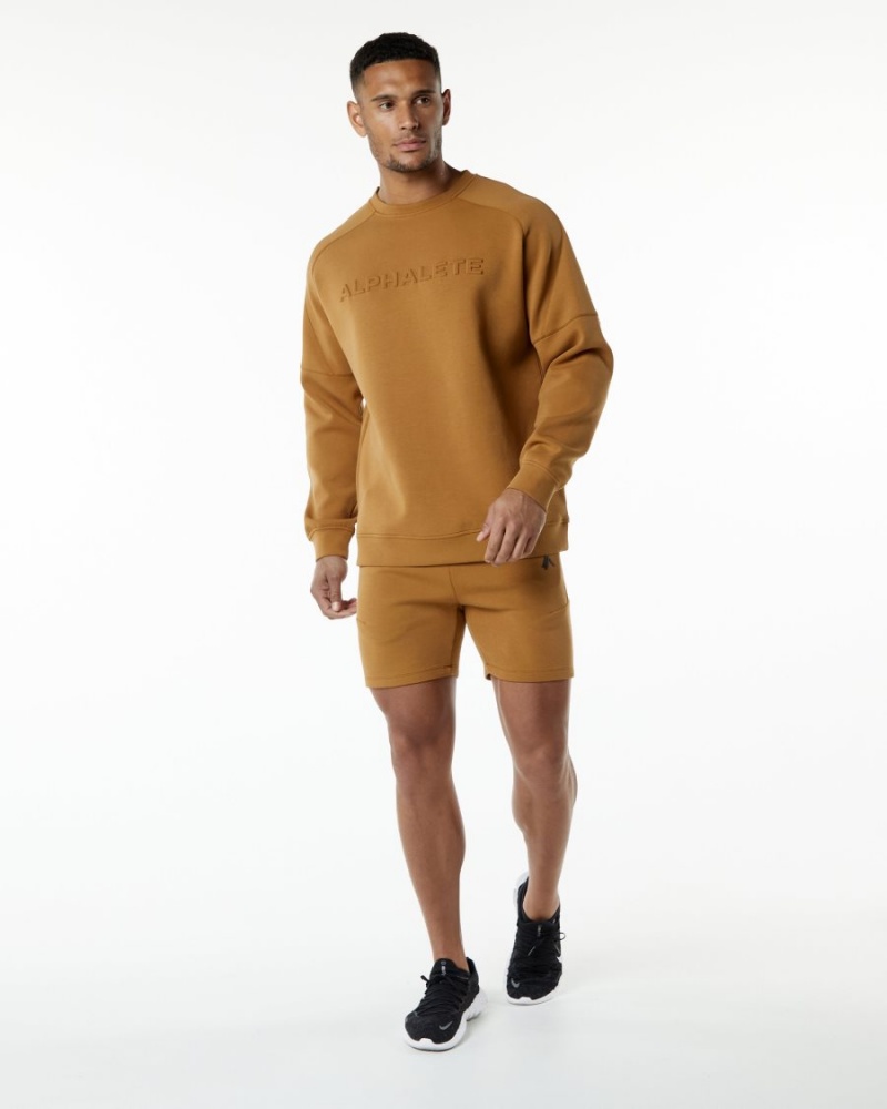 Men's Alphalete ELMTS Crewneck Sweater Jackets Almond | 2413-IPNTD