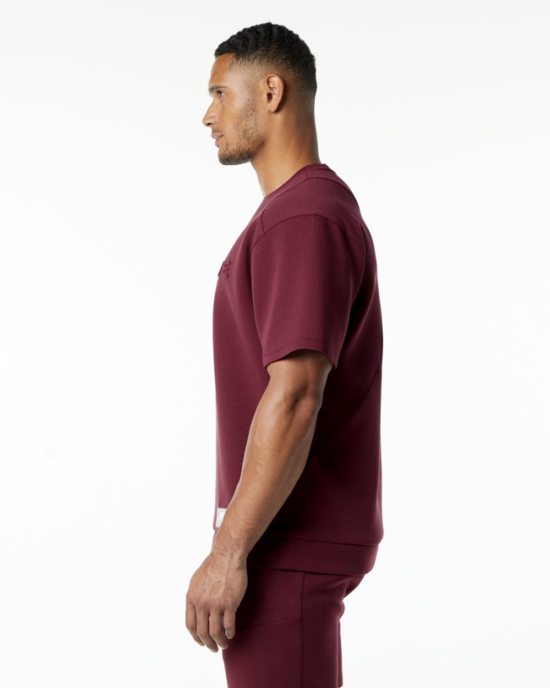 Men's Alphalete ELMTS Half Sleeve Pullover Jackets Burgundy | 7482-VJWOC