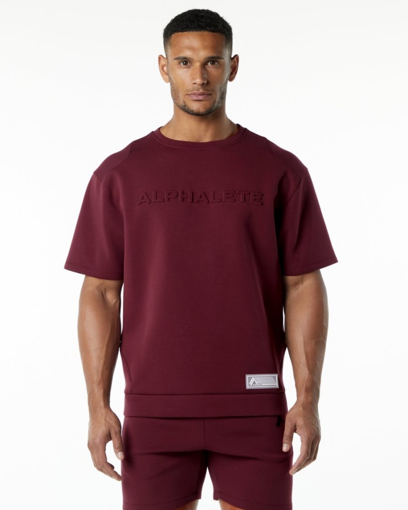 Men\'s Alphalete ELMTS Half Sleeve Pullover Jackets Burgundy | 7482-VJWOC