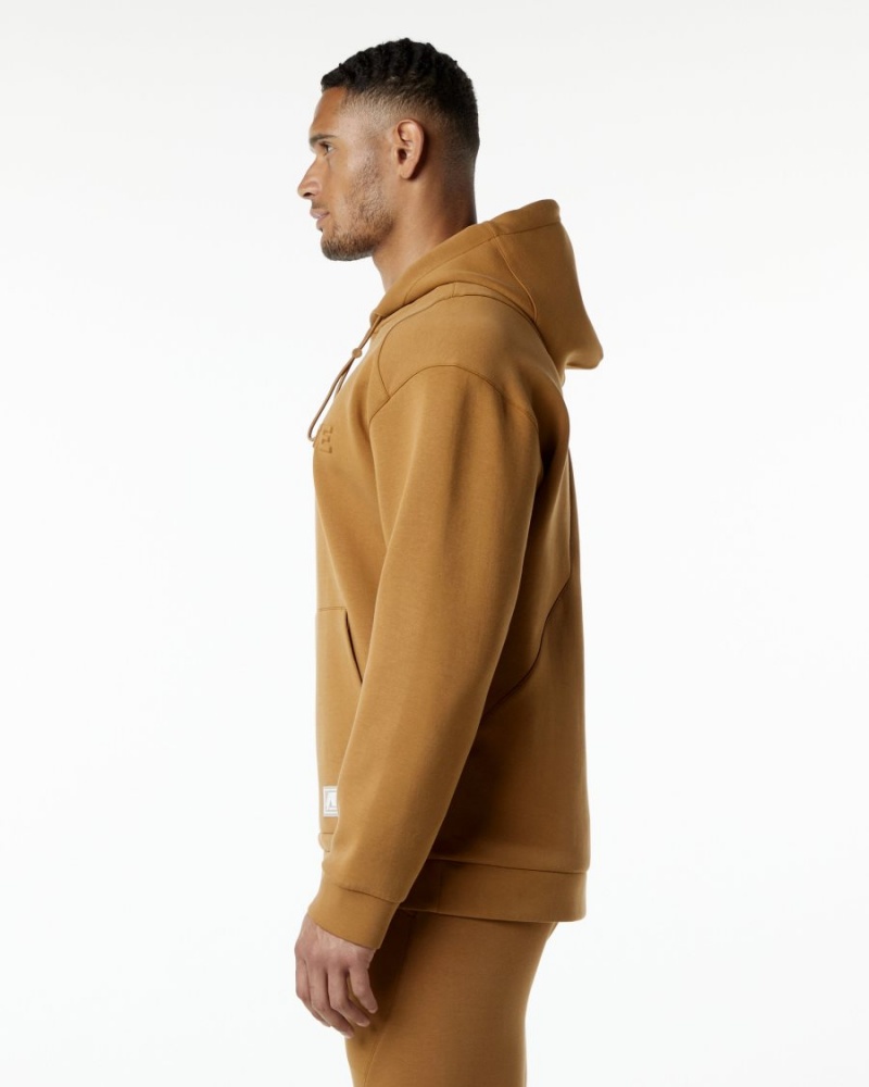 Men's Alphalete ELMTS Hoodie Hoodie Almond | 9807-EKALJ