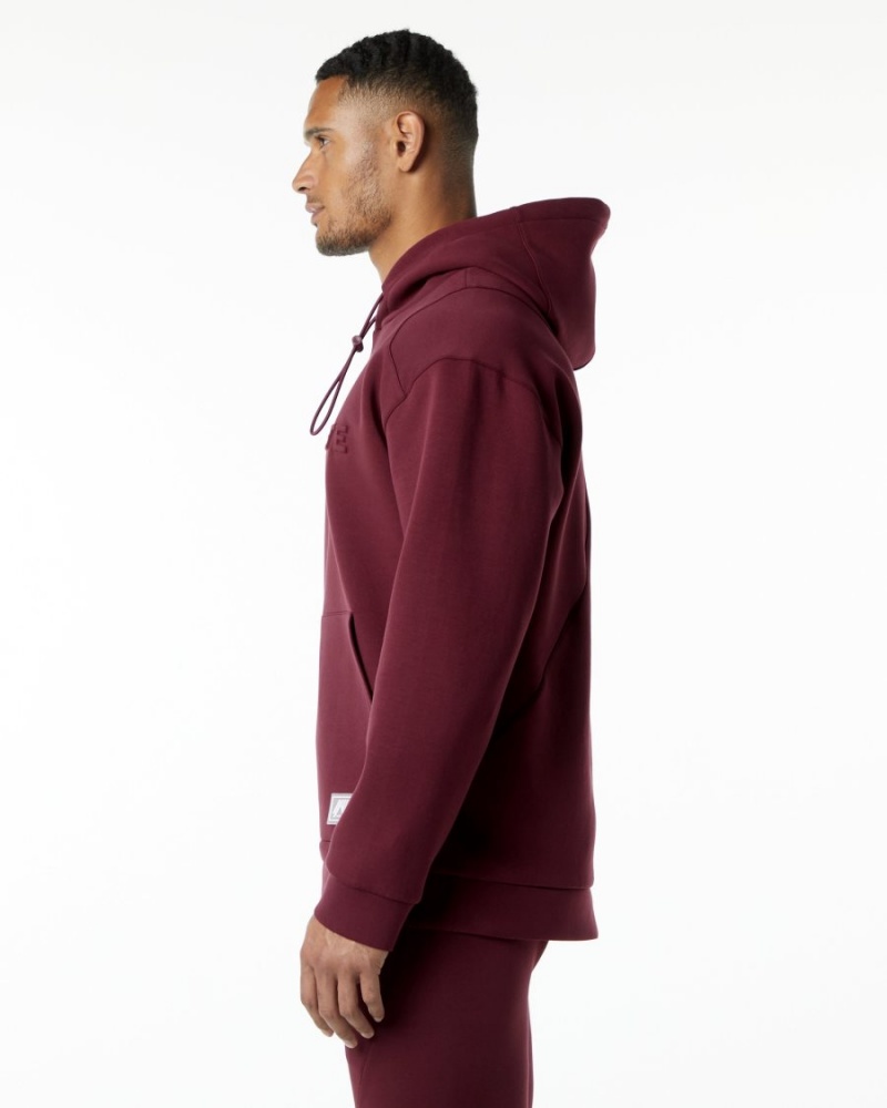 Men's Alphalete ELMTS Hoodie Hoodie Burgundy | 3967-NGQYT