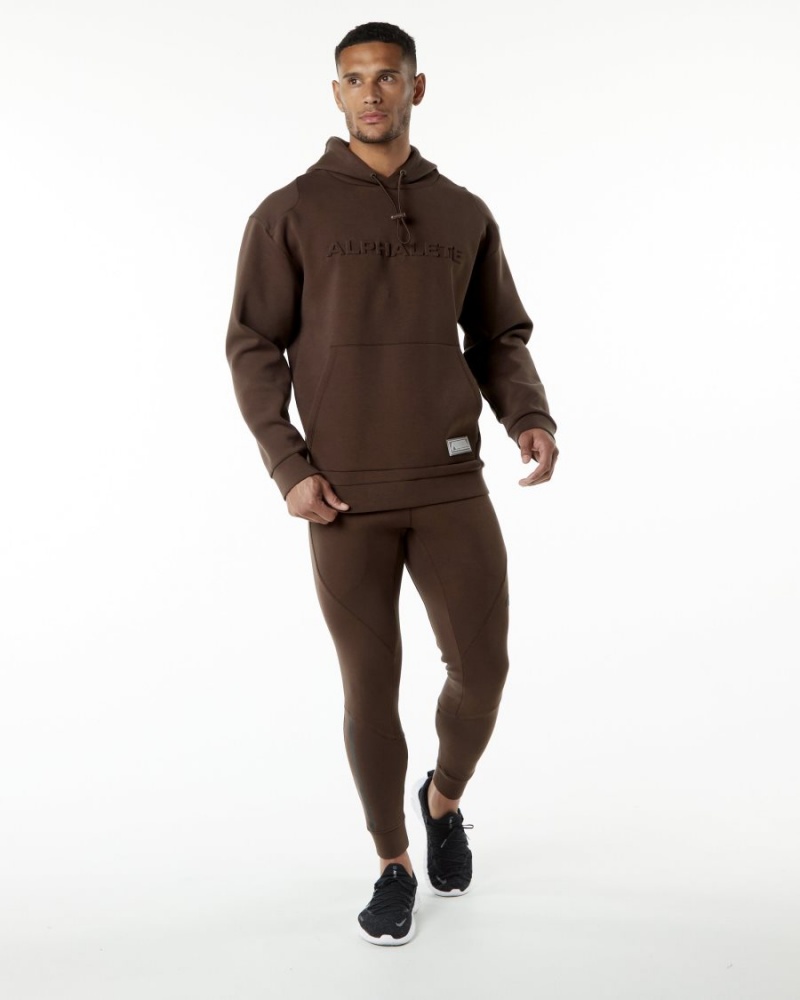 Men's Alphalete ELMTS Hoodie Hoodie Fudge Brown | 2174-FBHTE