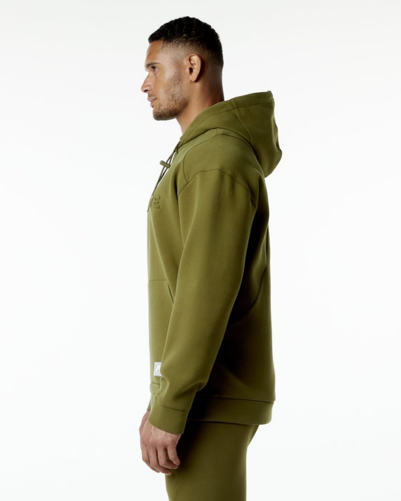 Men's Alphalete ELMTS Hoodie Hoodie Moss | 1092-TPGYB