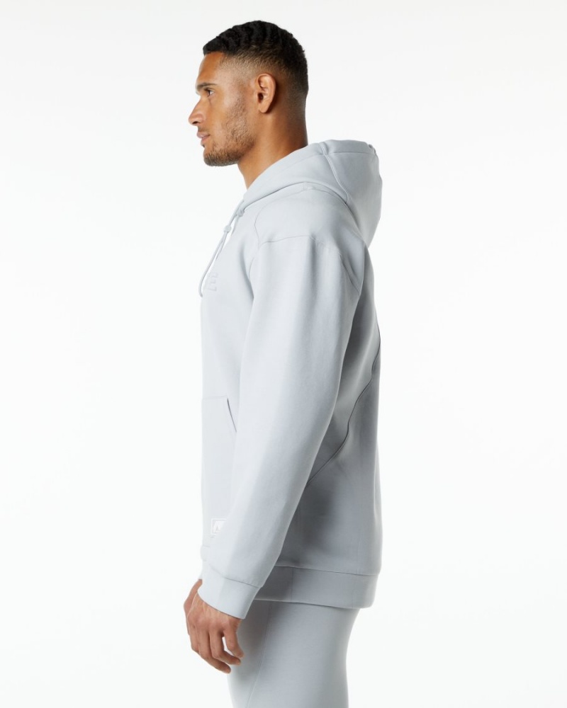 Men's Alphalete ELMTS Hoodie Hoodie Oyster Grey | 6841-JZQVD