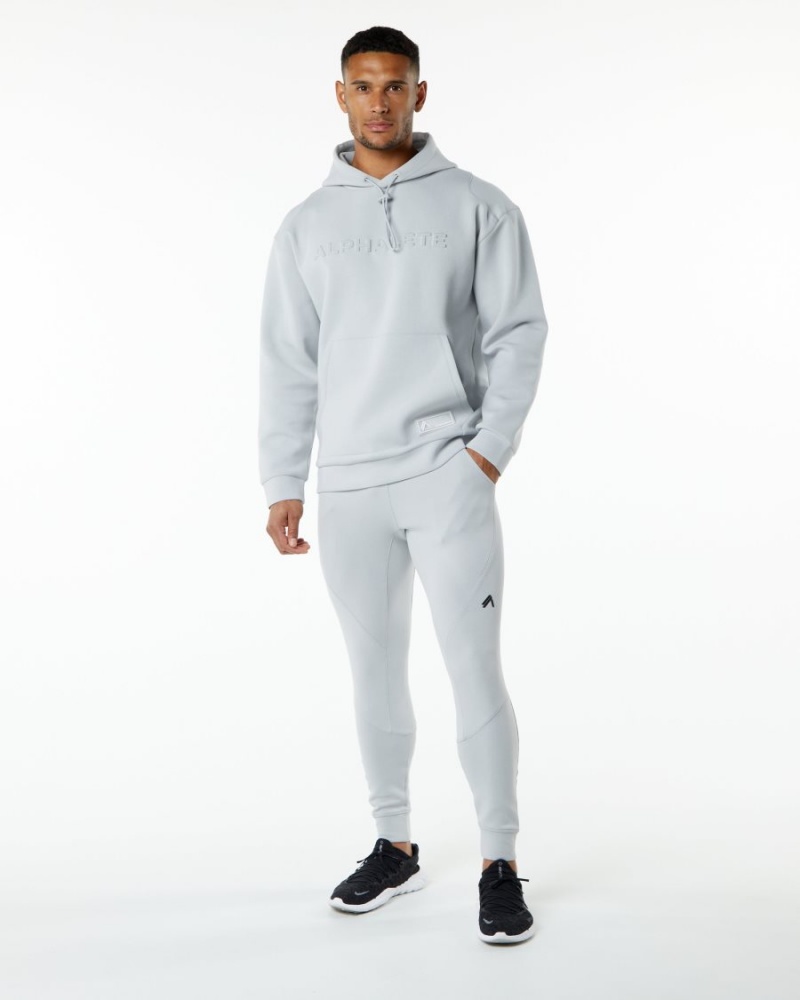 Men's Alphalete ELMTS Hoodie Hoodie Oyster Grey | 6841-JZQVD