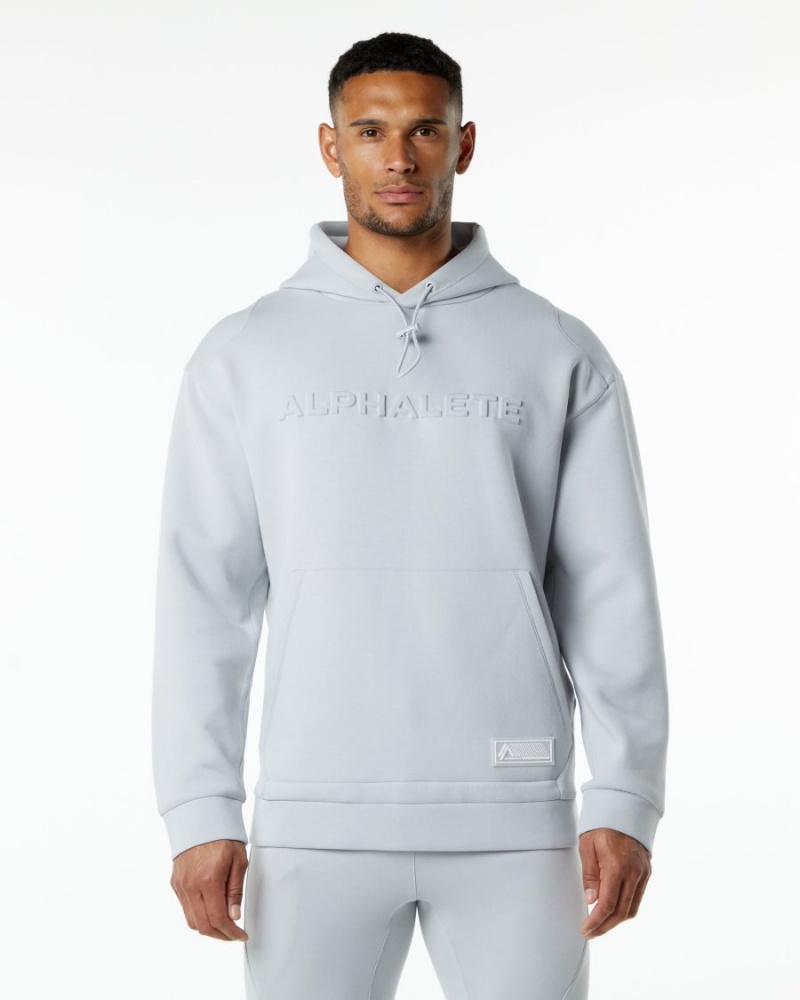 Men\'s Alphalete ELMTS Hoodie Hoodie Oyster Grey | 6841-JZQVD