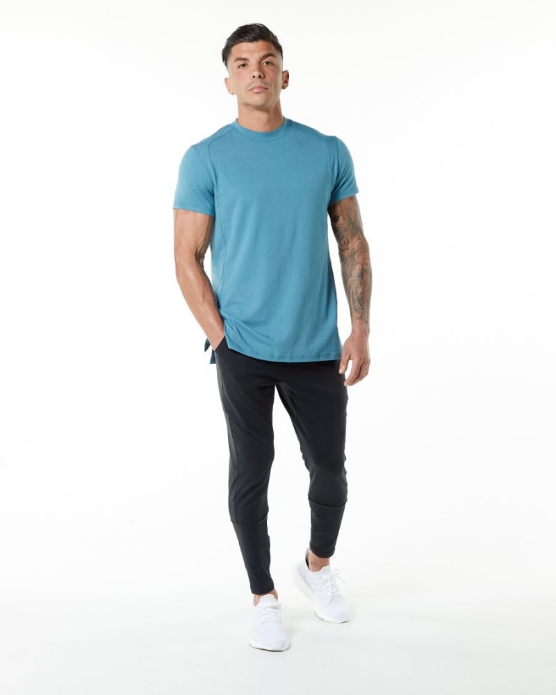 Men's Alphalete Evo Tee Shirts Blue Lagoon | 2948-YUJNF