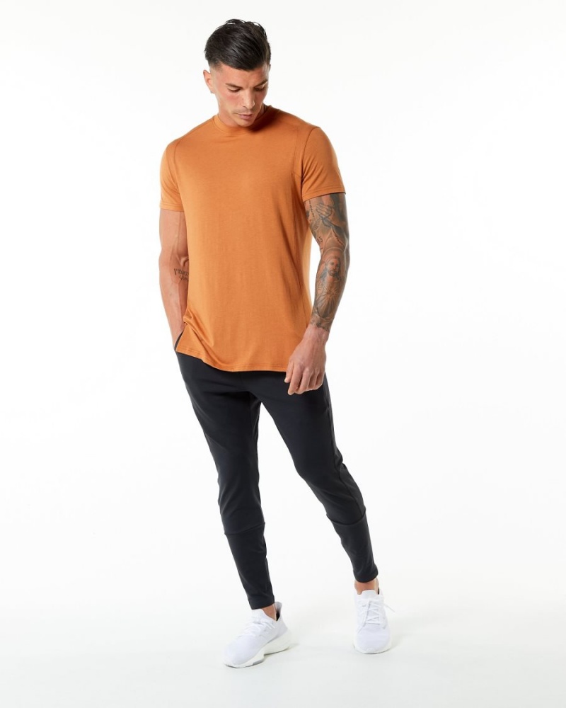 Men's Alphalete Evo Tee Shirts Camel | 0436-KVUFB