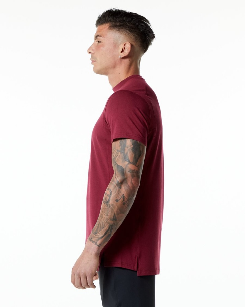 Men's Alphalete Evo Tee Shirts Ruby Red | 8106-PRHXU