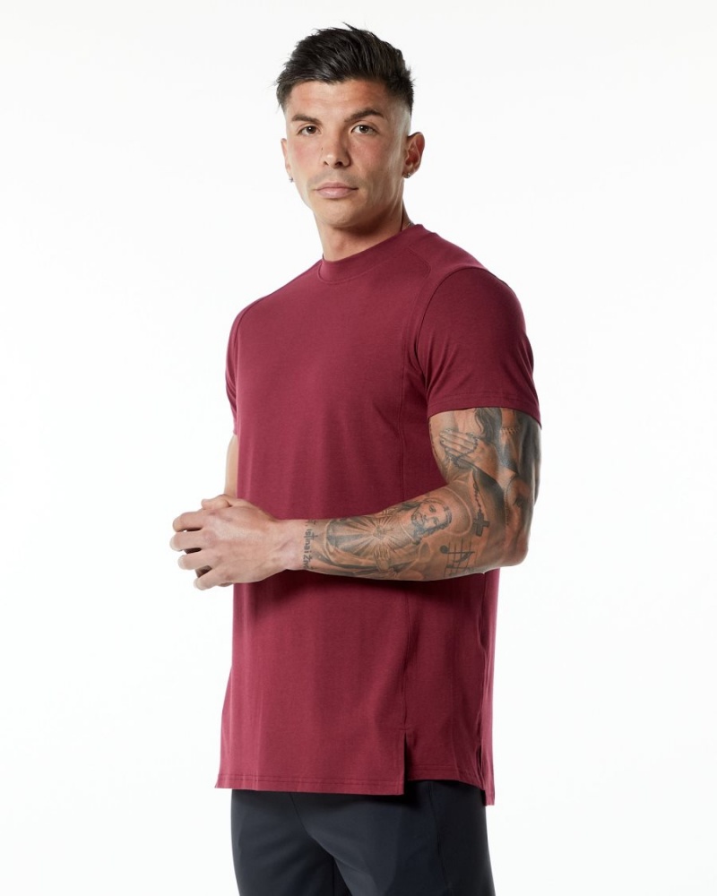 Men\'s Alphalete Evo Tee Shirts Ruby Red | 8106-PRHXU