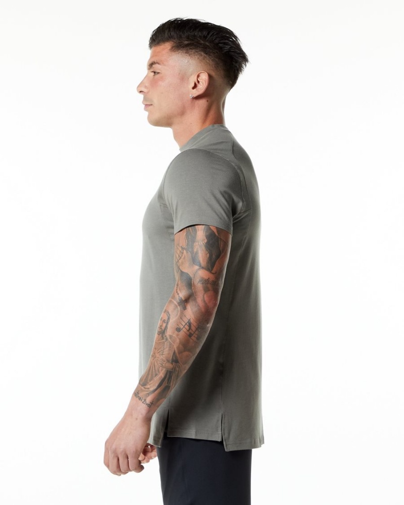 Men's Alphalete Evo Tee Shirts Stone Grey | 1976-OBJEN