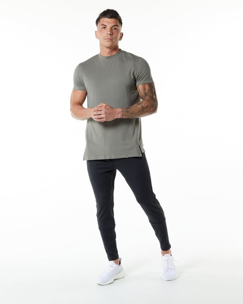 Men's Alphalete Evo Tee Shirts Stone Grey | 1976-OBJEN