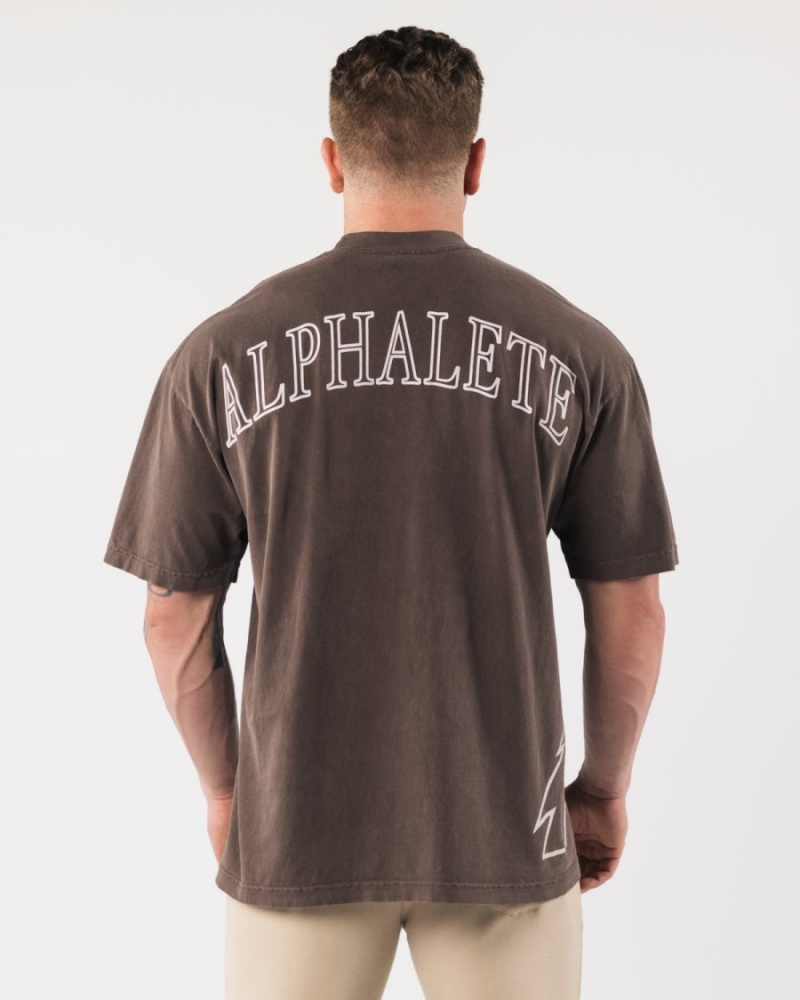 Men's Alphalete Giant Wolf Head Tee Shirts Clove | 8763-YUZFD