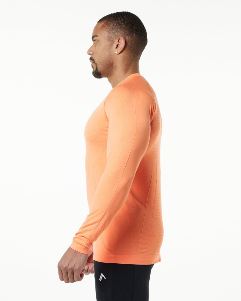 Men's Alphalete Hero Long Sleeve Tee Shirts Faded Day Tripper | 8217-KUDIG