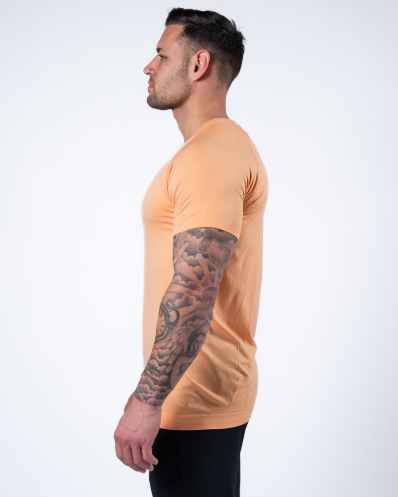 Men's Alphalete Hero Tee Shirts Cheeky Coral | 9145-BANRP