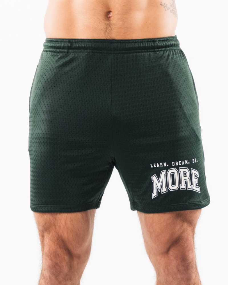 Men\'s Alphalete LDB More Mesh Short 6" Shorts Evergreen | 7461-VOFRM