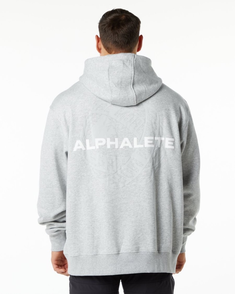 Men\'s Alphalete Unity Hoodie Hoodie Heather Grey | 8732-JKPLS