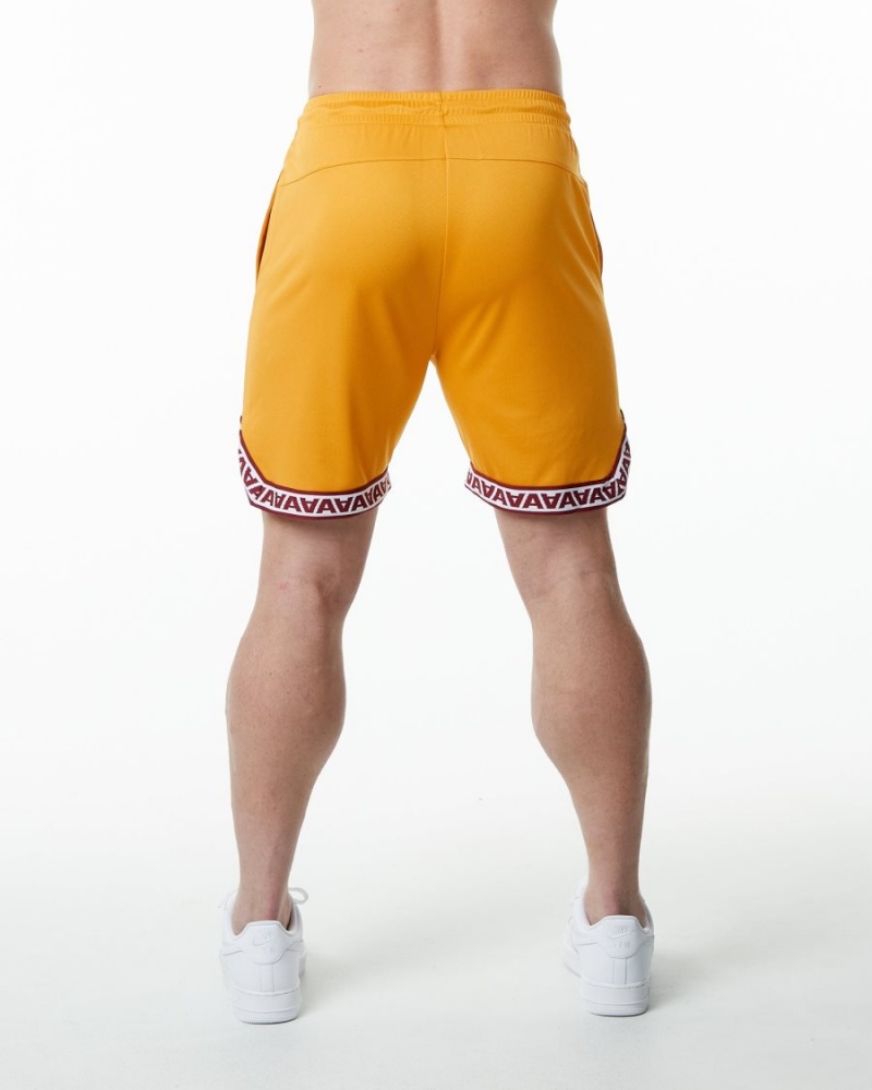 Men's Alphalete Varsity Basketball Short 9" Shorts Marigold | 0257-OMNDU