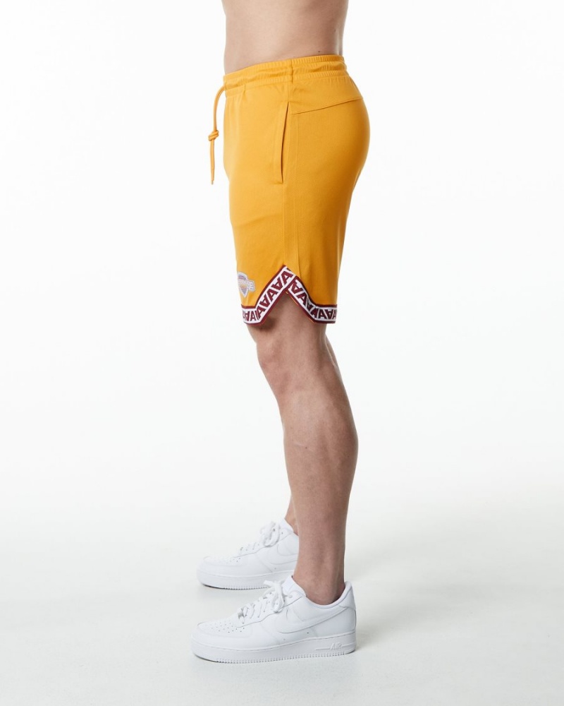 Men's Alphalete Varsity Basketball Short 9" Shorts Marigold | 0257-OMNDU