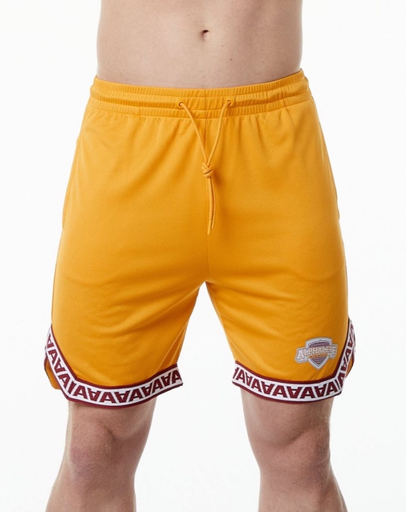 Men\'s Alphalete Varsity Basketball Short 9" Shorts Marigold | 0257-OMNDU