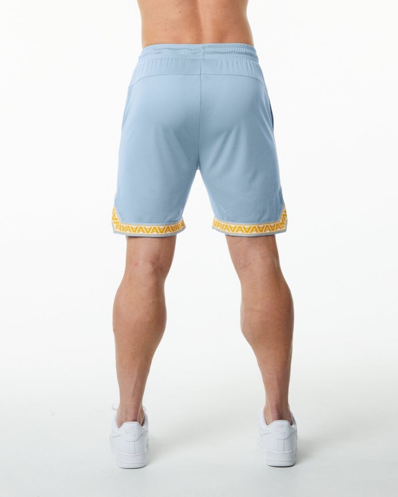 Men's Alphalete Varsity Basketball Short 9" Shorts Light Blue | 8509-KVAYJ