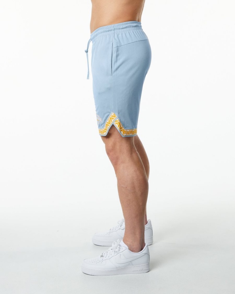 Men's Alphalete Varsity Basketball Short 9" Shorts Light Blue | 8509-KVAYJ