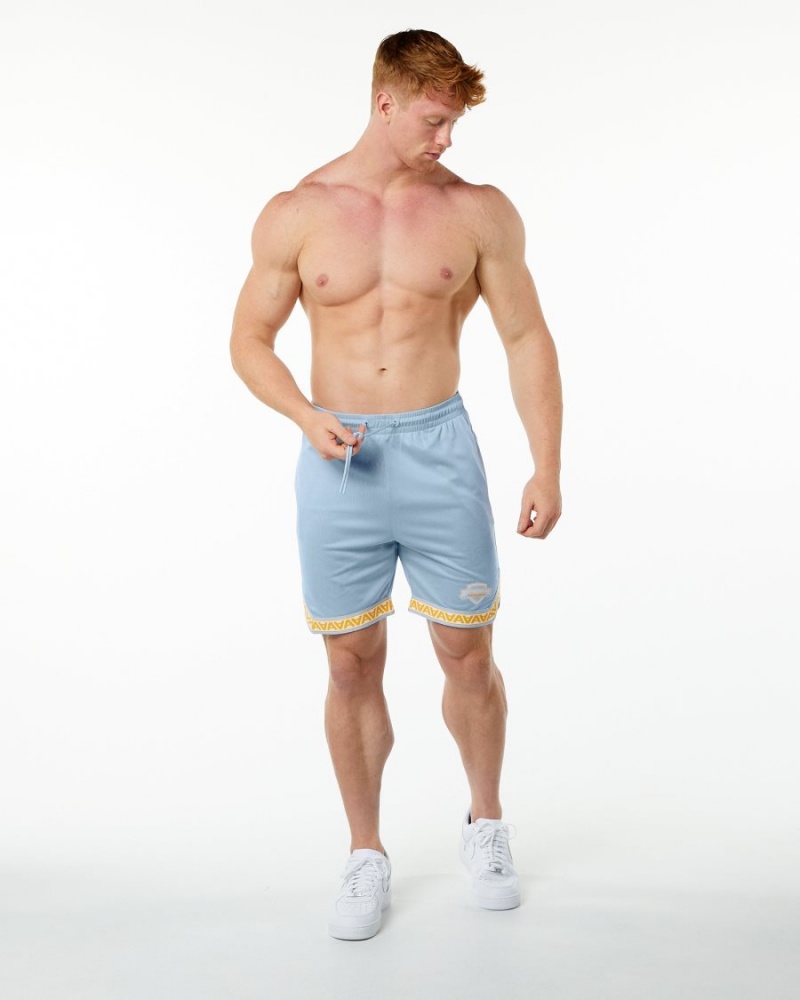 Men's Alphalete Varsity Basketball Short 9" Shorts Light Blue | 8509-KVAYJ