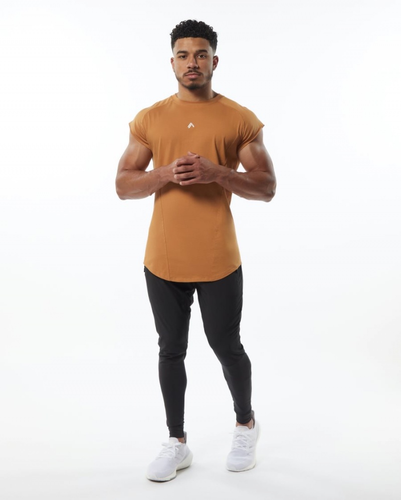 Men's Alphalete Velocity Sleeveless Tee Stringers Chestnut | 8056-DEKBI