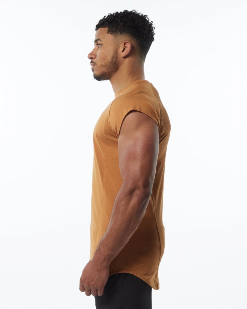 Men's Alphalete Velocity Sleeveless Tee Stringers Chestnut | 8056-DEKBI