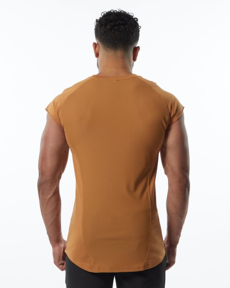 Men's Alphalete Velocity Sleeveless Tee Stringers Chestnut | 8056-DEKBI