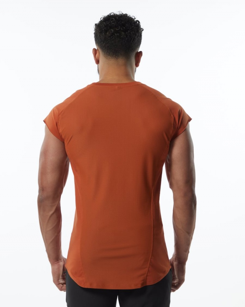 Men's Alphalete Velocity Sleeveless Tee Stringers Sour Tangerine | 5130-HAFYZ