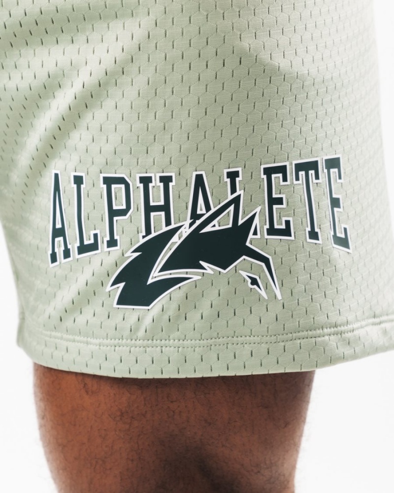 Men's Alphalete Wolf Head Mesh Short 6" Shorts Sage | 2598-WZSFC