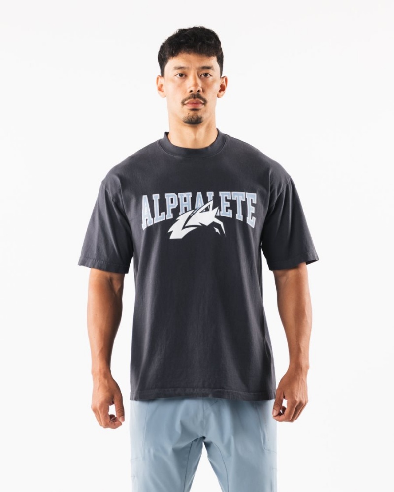 Men's Alphalete Wolf Head Tee Shirts Dolphin Blue | 0517-XKLHP