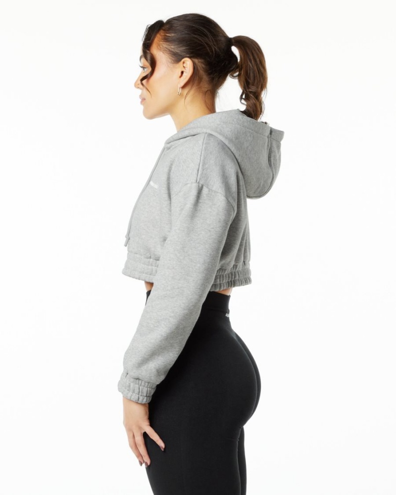 Women's Alphalete Classic Capital Crop Hoodie Hoodie Heather Grey | 3127-VASWQ