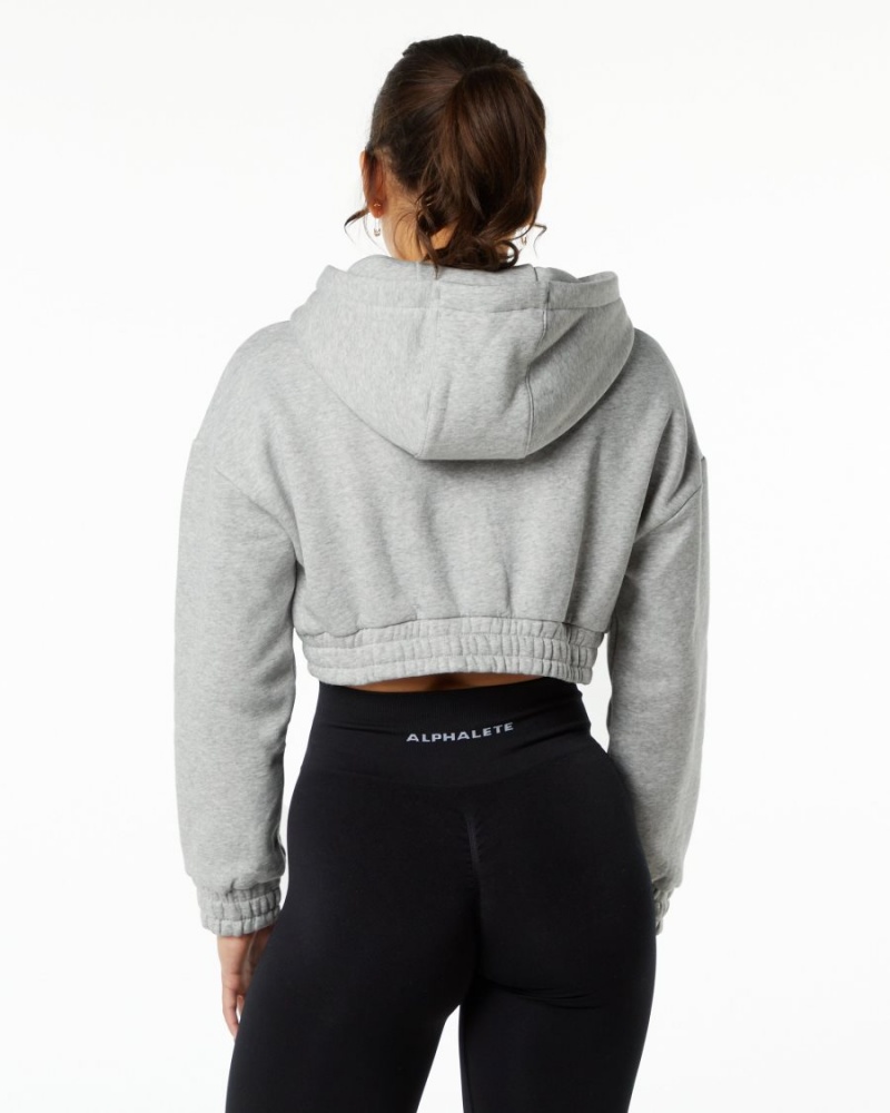 Women's Alphalete Classic Capital Crop Hoodie Hoodie Heather Grey | 3127-VASWQ