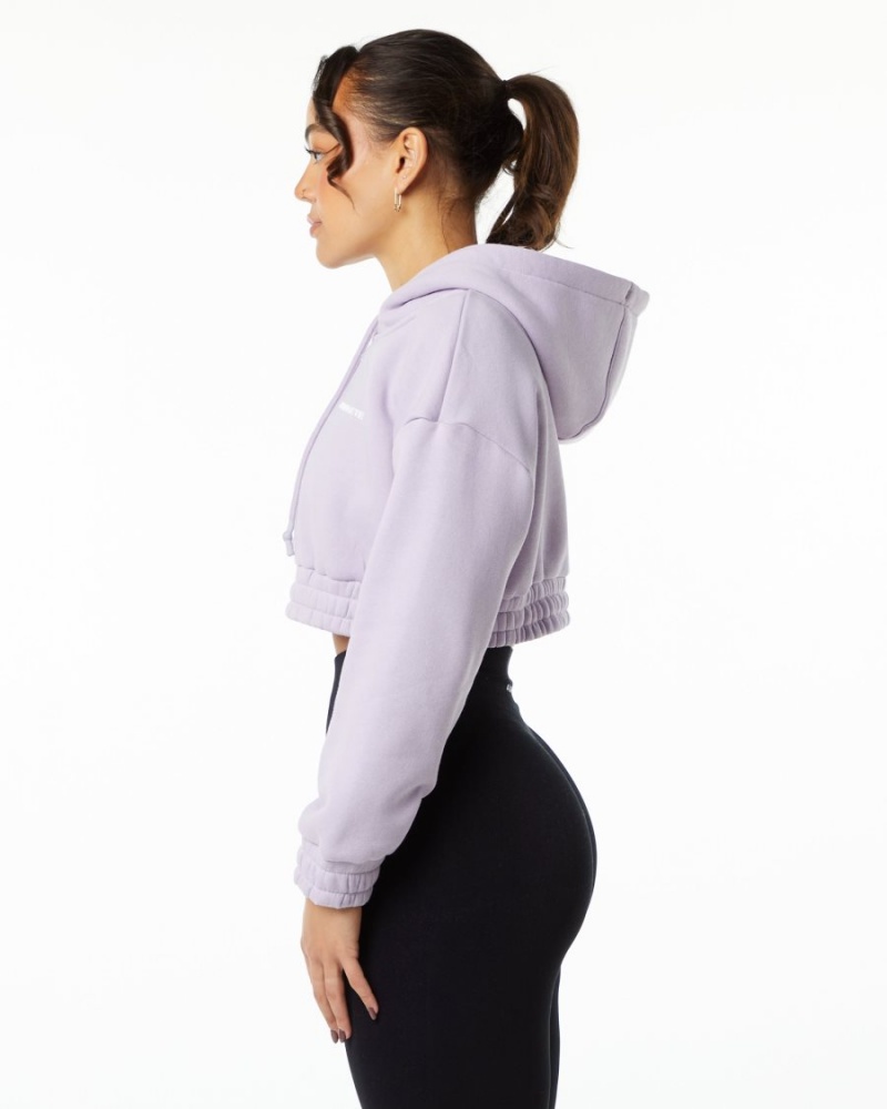 Women's Alphalete Classic Capital Crop Hoodie Hoodie Misty Lilac | 2168-RFNIT