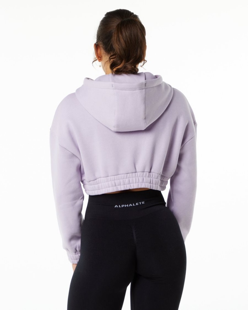 Women's Alphalete Classic Capital Crop Hoodie Hoodie Misty Lilac | 2168-RFNIT