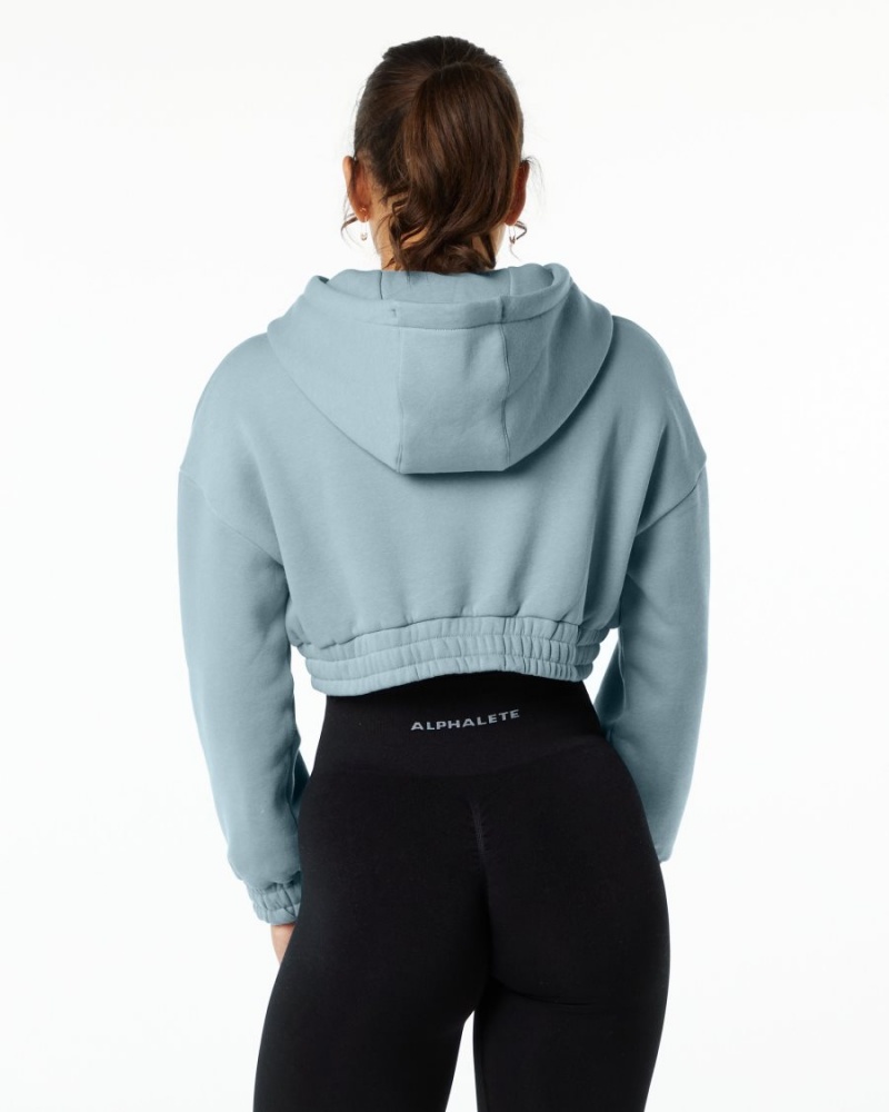 Women's Alphalete Classic Capital Crop Hoodie Hoodie Fog Blue | 8637-ZHAIX