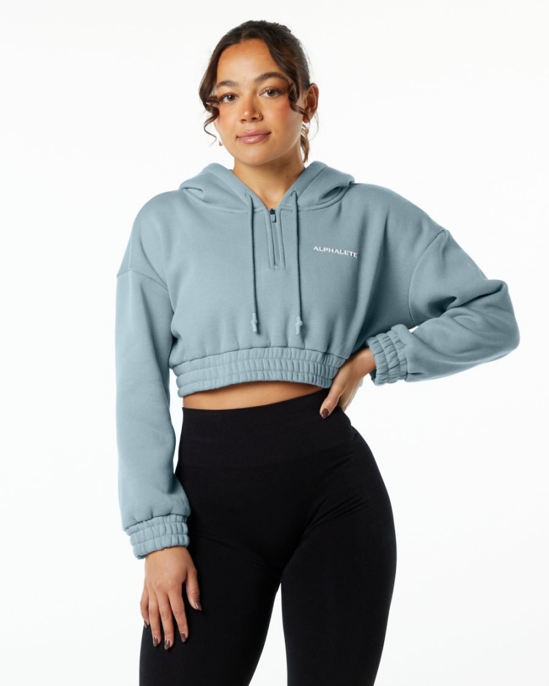 Women\'s Alphalete Classic Capital Crop Hoodie Hoodie Fog Blue | 8637-ZHAIX