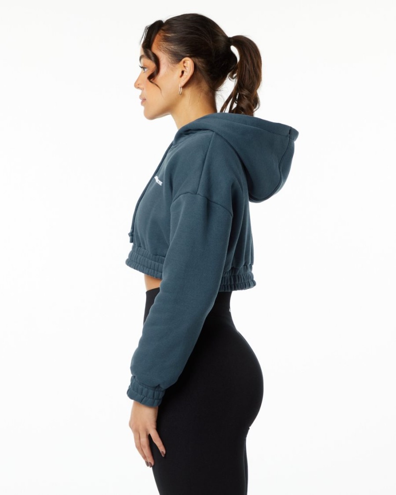 Women's Alphalete Classic Capital Crop Hoodie Hoodie Whale Blue | 5863-EJQHK