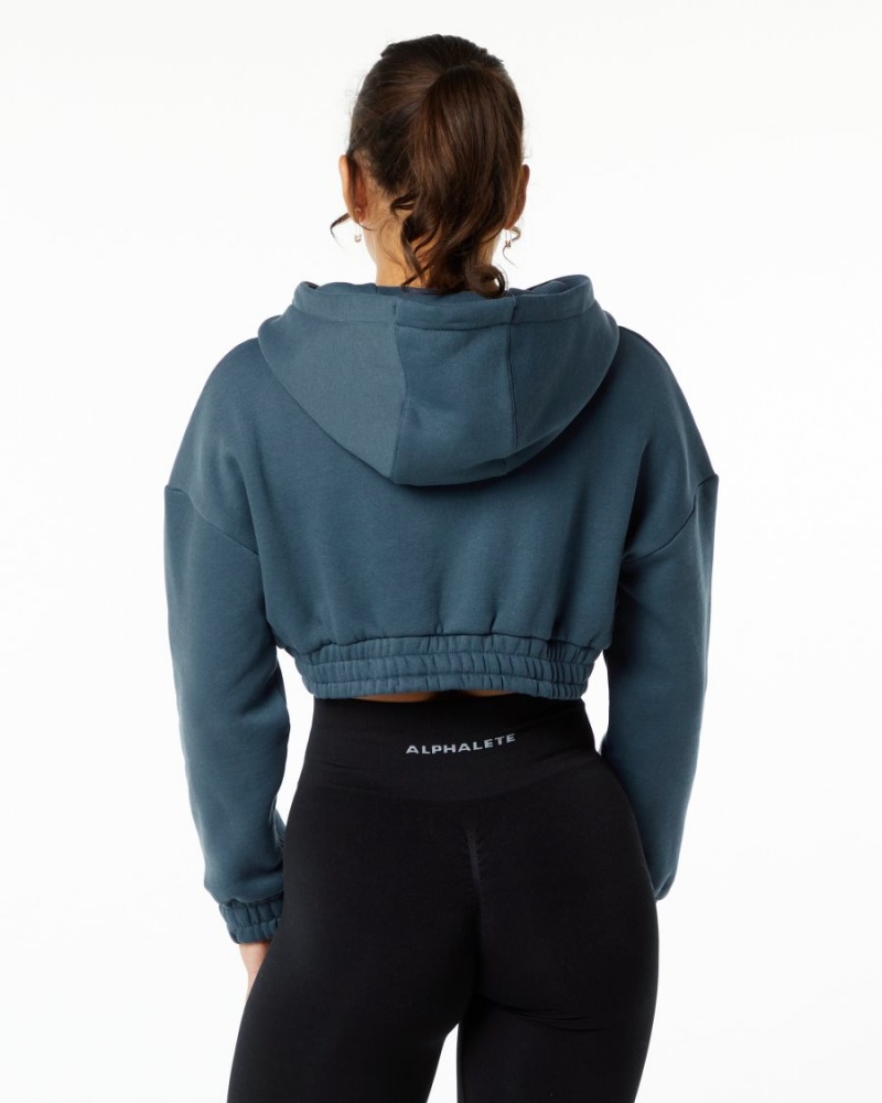 Women's Alphalete Classic Capital Crop Hoodie Hoodie Whale Blue | 5863-EJQHK