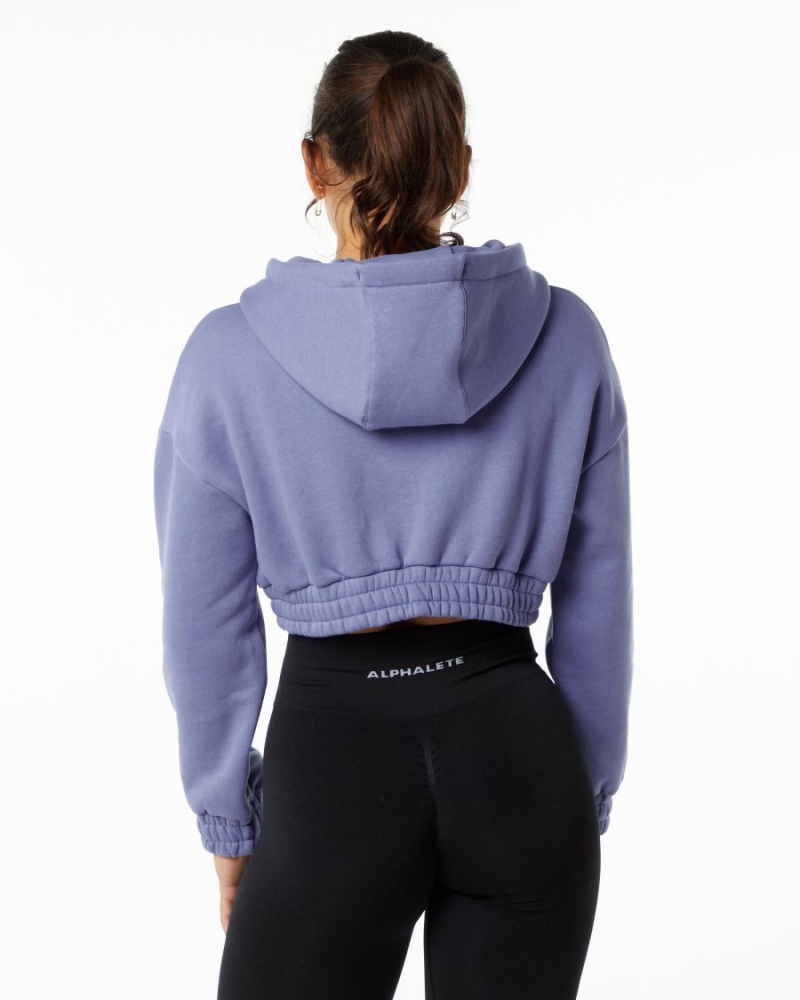 Women's Alphalete Classic Capital Crop Hoodie Hoodie Digital Violet | 0795-FKAUV