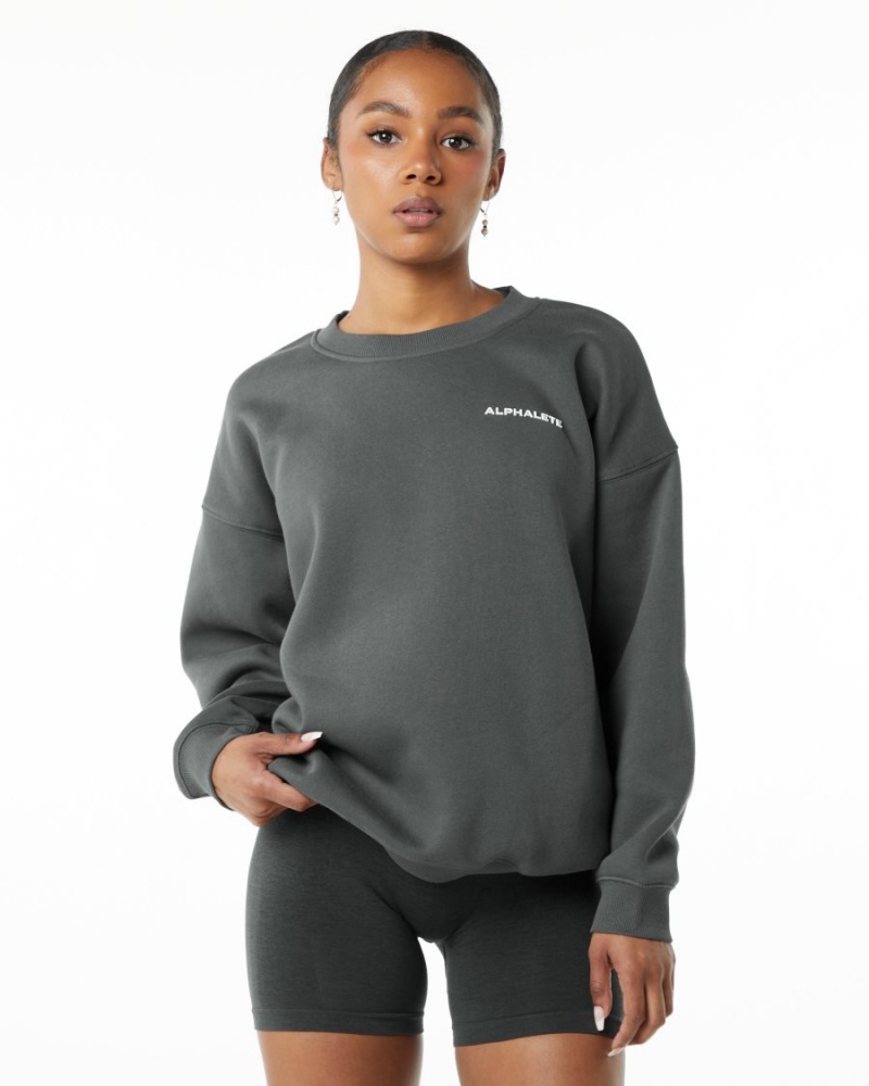 Women\'s Alphalete Classic Crew Long Sleeve Smoke | 1086-GSIKF