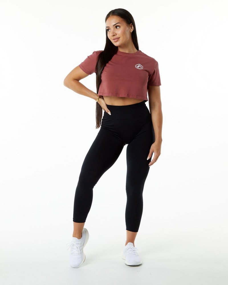 Women's Alphalete Dynasty Crop Shirts Gingerbread | 8543-RAHTU