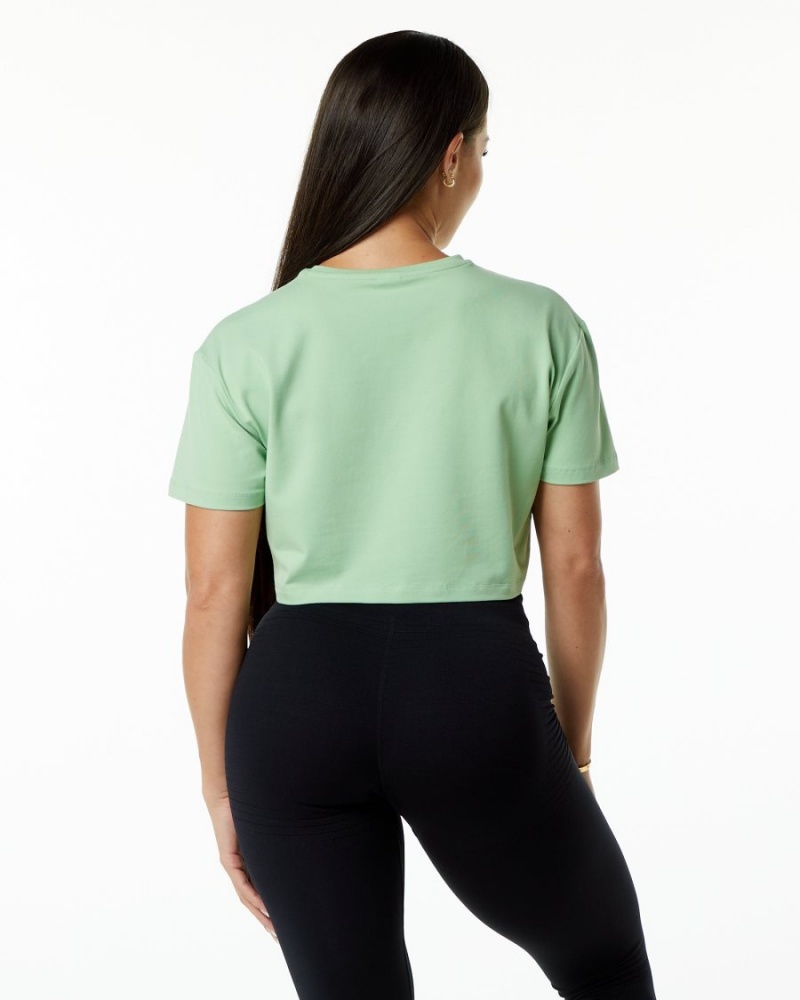 Women's Alphalete Dynasty Crop Shirts Pistachio | 6784-LJECW