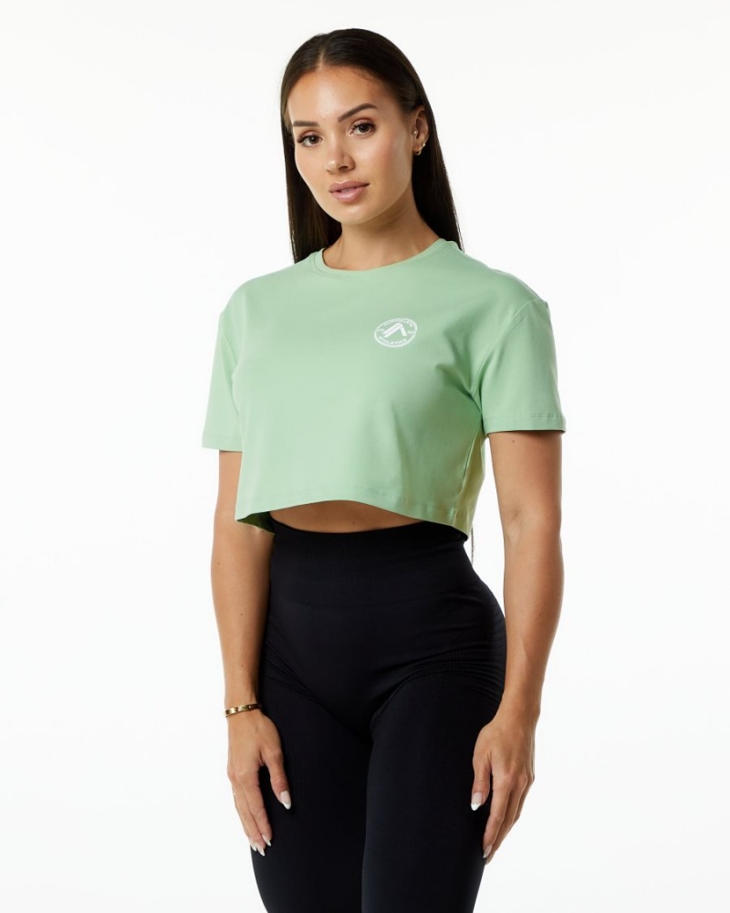 Women\'s Alphalete Dynasty Crop Shirts Pistachio | 6784-LJECW