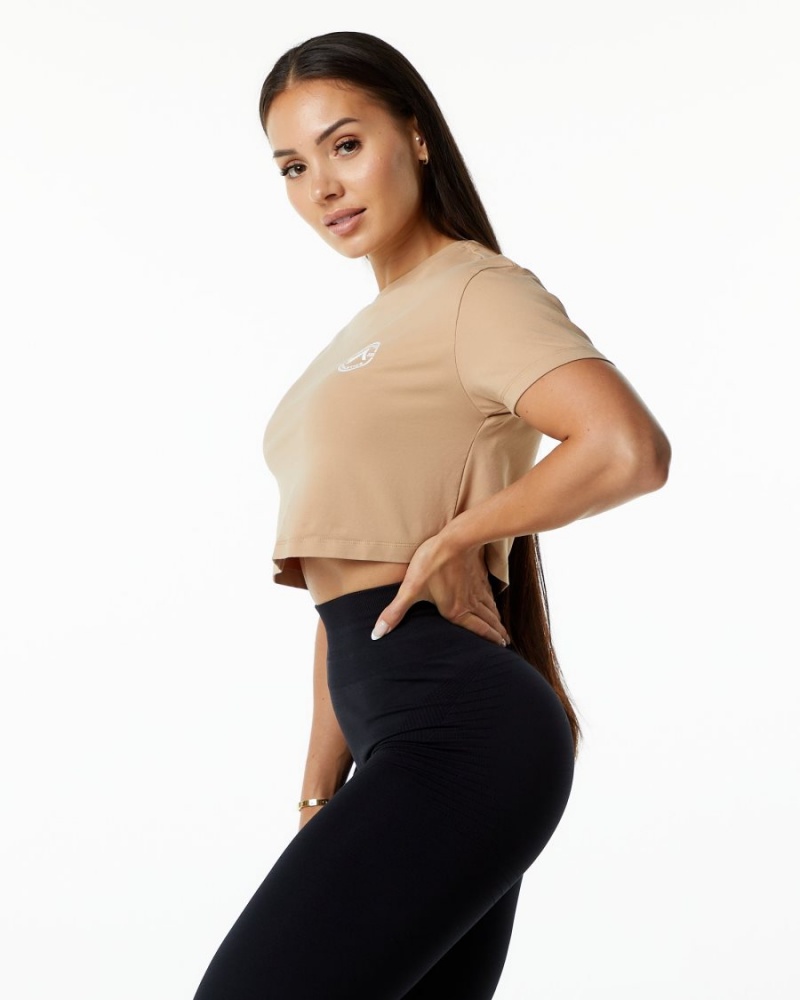 Women's Alphalete Dynasty Crop Shirts Taupe | 7830-PNTVW