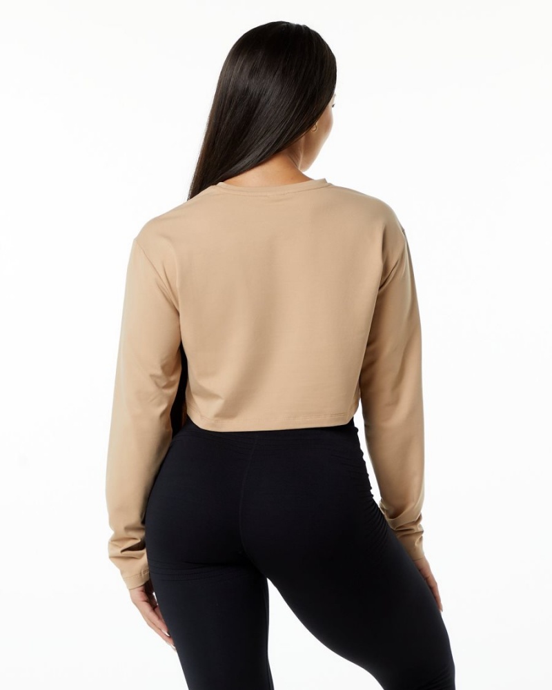 Women's Alphalete Dynasty LS Crop Long Sleeve Taupe | 8491-KCNYD