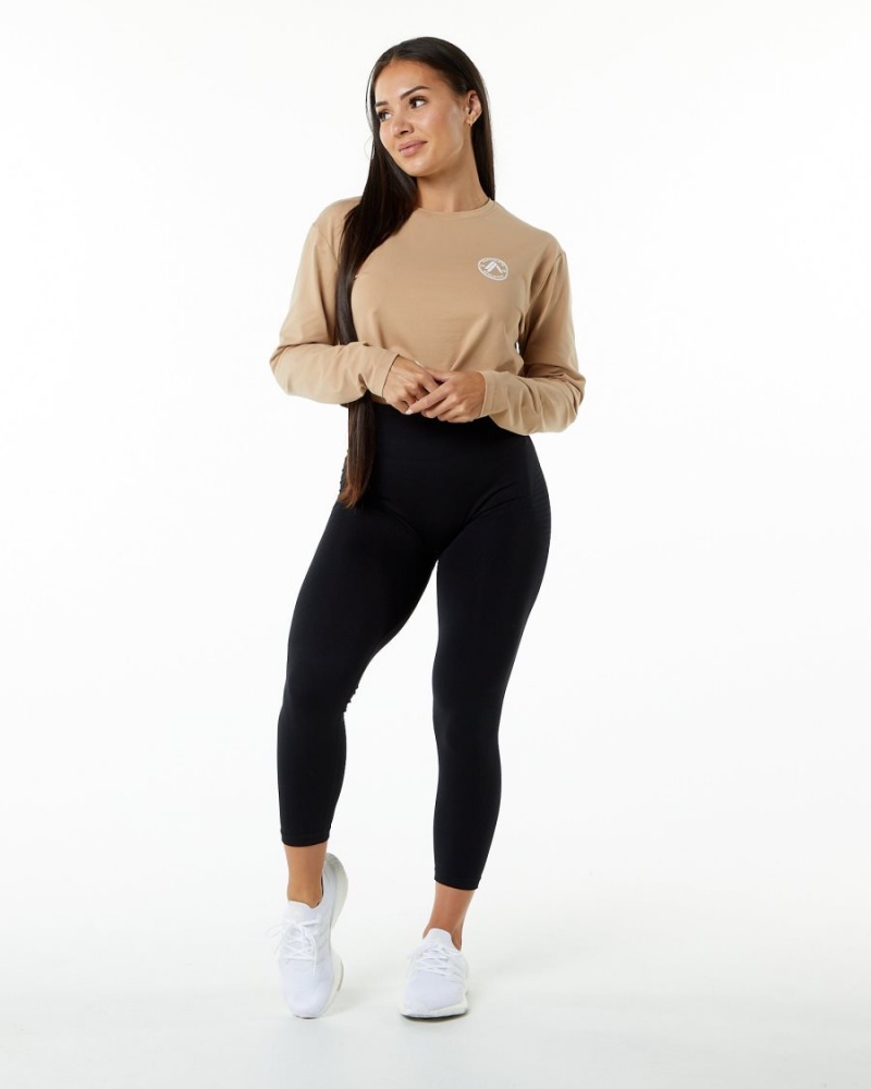 Women's Alphalete Dynasty LS Crop Long Sleeve Taupe | 8491-KCNYD